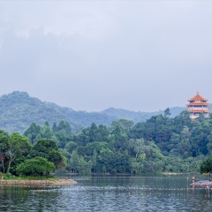 东莞