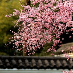 东湖风景区