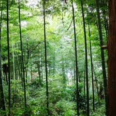 峨眉山