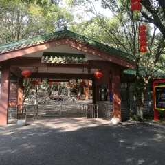 大圩古镇的#旅图换旅费# #骑行# #自然风光#