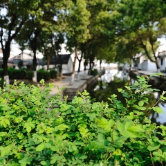 袁家村