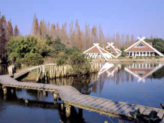 崇明东平森林公园