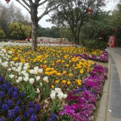 訾洲公园的#旅图换旅费# #户外游# #自然风光#