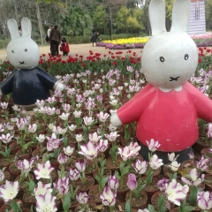 訾洲公园的#旅图换旅费# #户外游# #自然风光#