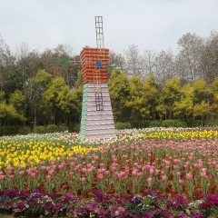 訾洲公园的#旅图换旅费# #旅拍# #自然风光#