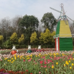 訾洲公园的#旅图换旅费# #旅拍# #自然风光#
