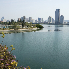 筼筜湖的#旅图换旅费# #旅拍#