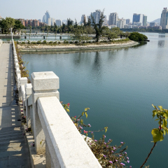 筼筜湖的#旅图换旅费# #旅拍#