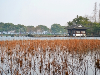 杭州曲院风荷景区