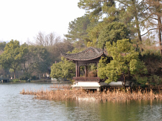 杭州曲院风荷景区