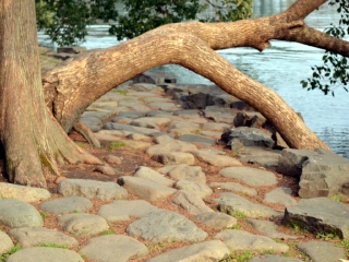 杭州曲院风荷景区