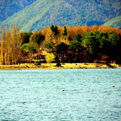 景点模块 