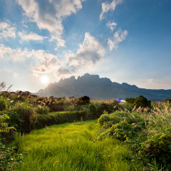 庐山