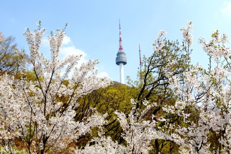 <韩国首尔一地双飞5日游>直飞韩国，大韩航空、南山公园、广藏市场、光化门、清溪川广场、景福宫