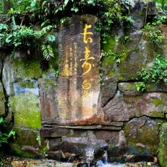 金鞭溪的#旅图换旅费#
