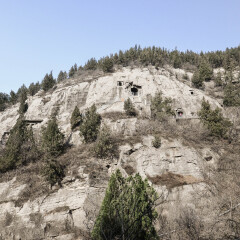 龙门石窟的#旅图换旅费# #旅拍#