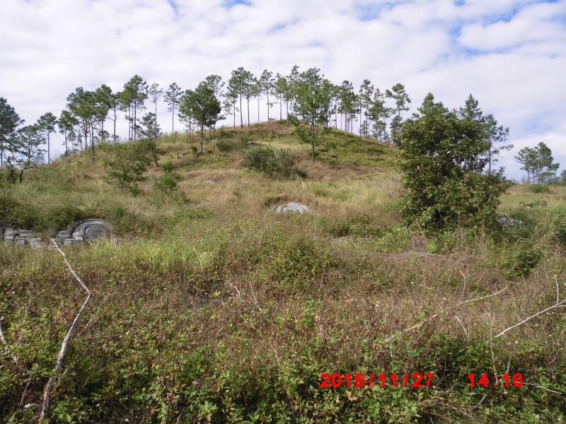在宋溪头村, 宋溪头山东侧也有许多坟墓,无碑