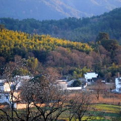 徽州古城