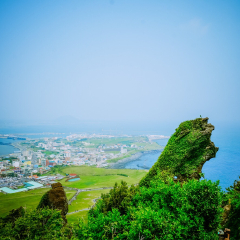 景点模块 