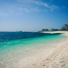 牛岛的#旅图换旅费# #岛屿# #自然风光#