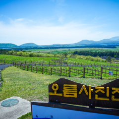 山君不离的#旅图换旅费# #自然风光# #春景#