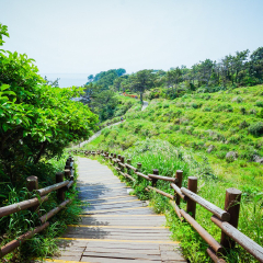偶来小路的#旅图换旅费# #户外游# #自然风光#