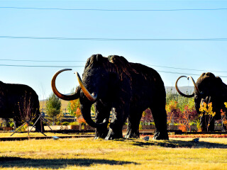 猛犸公园
