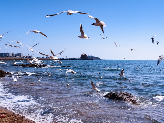  团队定制-青岛崂山-电视塔-沙滩篝火晚会3日游>那年那月,我们一起