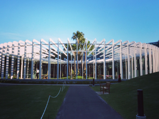 悉尼皇家植物园