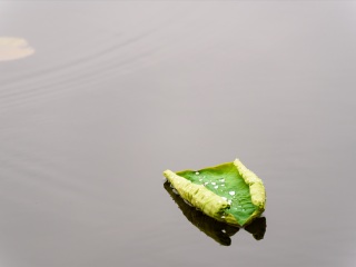 济南大明湖公园