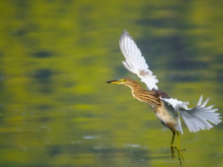 济南大明湖公园