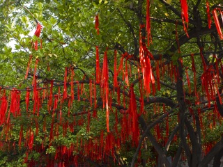 济南大明湖公园