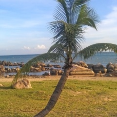 天涯海角