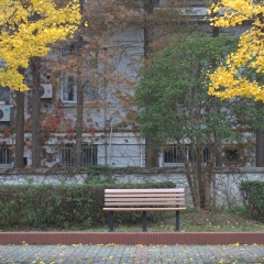复旦大学