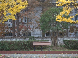 复旦大学