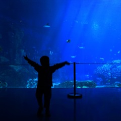 珠海长隆海洋王国