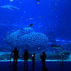 珠海长隆海洋王国