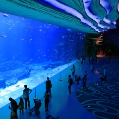 珠海长隆海洋王国