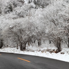 秦岭终南山