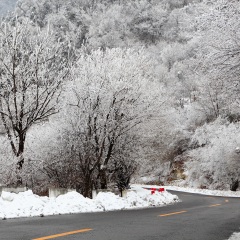 秦岭终南山