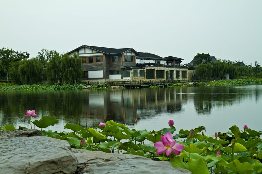  美食季-蘇州甪直古鎮-陽澄湖溼地公園-品蟹1日遊>門票全含 含中餐