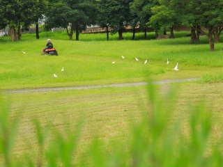 上甘岭溪水国家森林公园