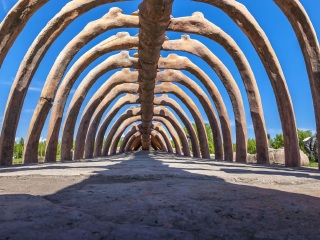 嘉荫恐龙国家地质公园