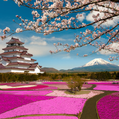 静冈县