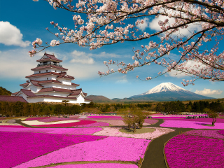 静冈县