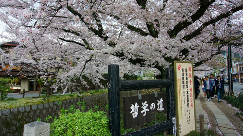 日本本州6日游 全日空航空直飞 一晚度假酒店小田原希尔顿 于蟹料理名店甲罗 京都深度游尽享古韵和风 出发 途牛