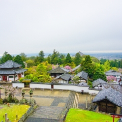 东大寺二月堂的#旅图换旅费#