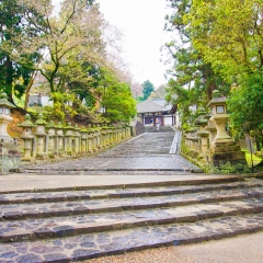 东大寺二月堂的#旅图换旅费#