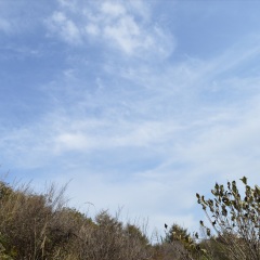 白石山