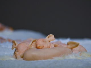 广州红砖厂创意园区